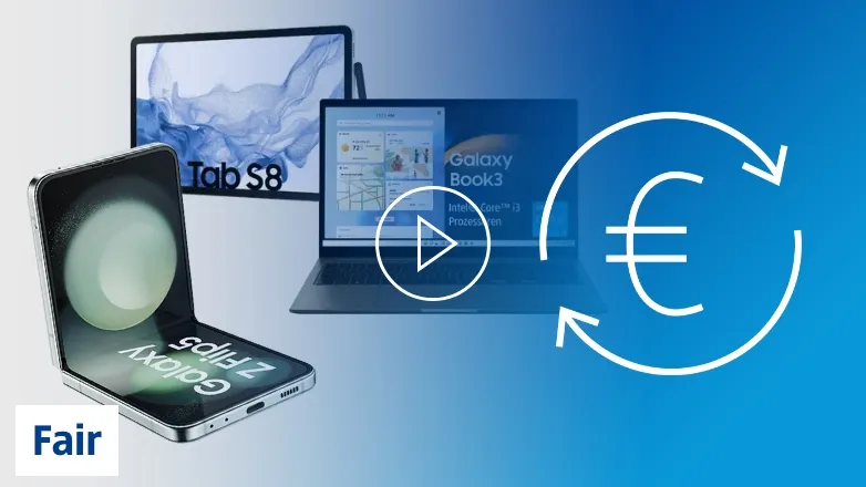 Zum Video